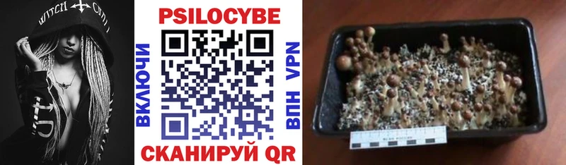 закладки  Кизел  Галлюциногенные грибы Magic Shrooms 